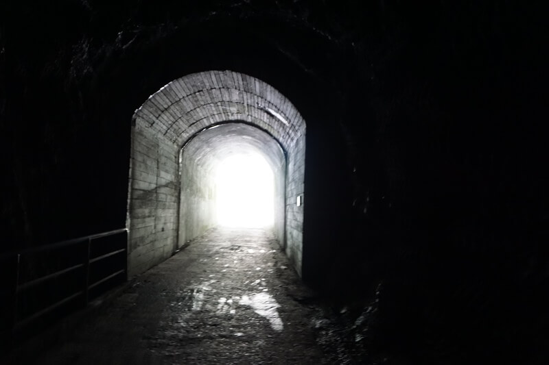 走白楊步道很長的入口隧道