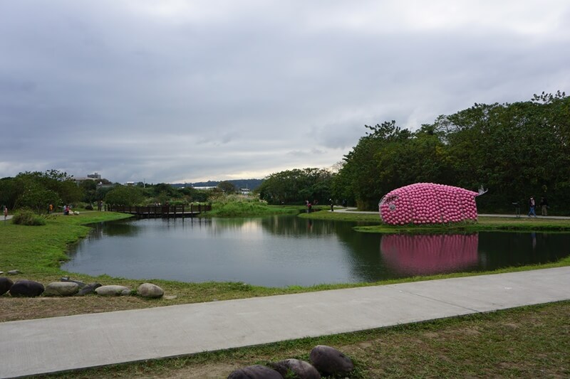 月眉人工濕地生態公園裡的粉紅泡泡