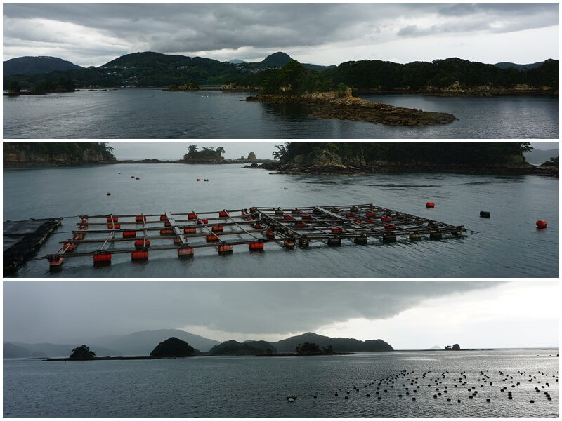 珍珠皇后號開往九十九島經過許多水產養殖設施