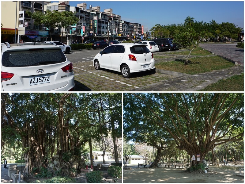 北香湖公園旁邊的停車場與裡面的大樹