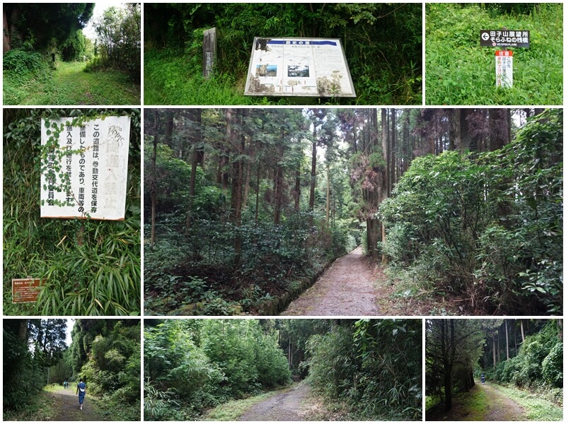 下車後開始往田子山展望所出發，經過一座樹林