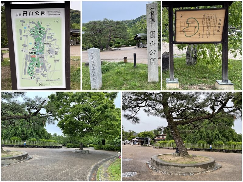 從遊覽車下車後要到八坂神社經過圓山公園（円山公園）