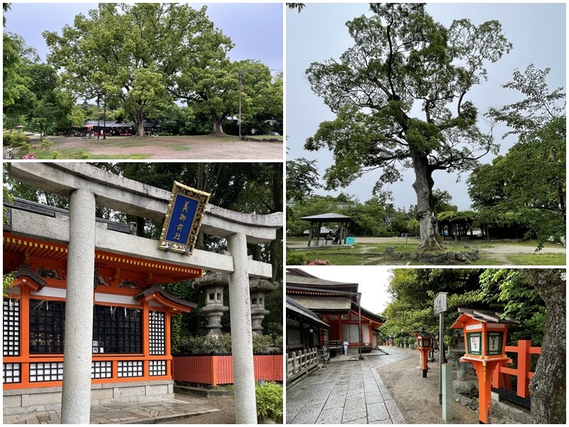 要到八坂神社經過美御前庄