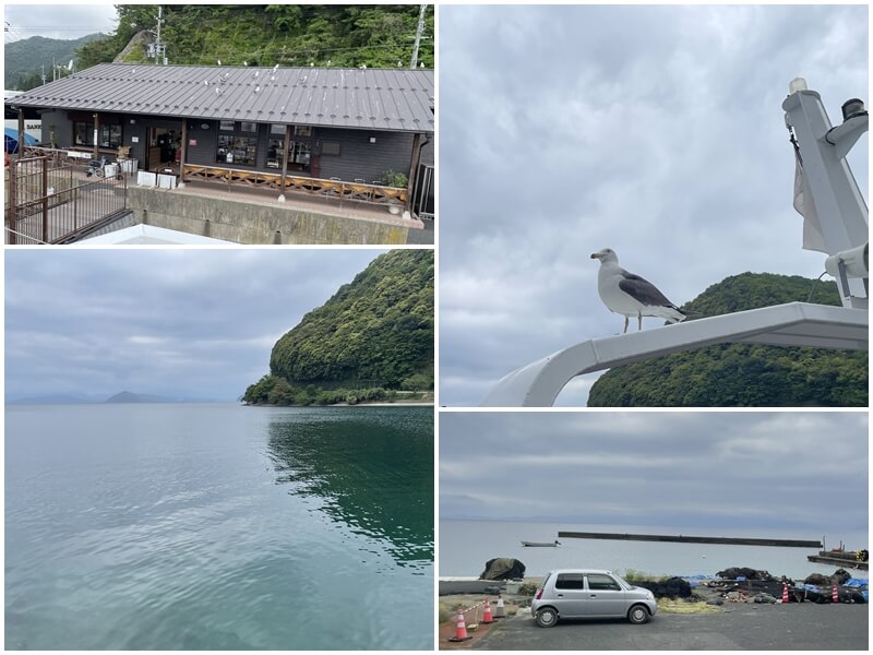 伊根灣觀光船餵食玩海鷗後下船