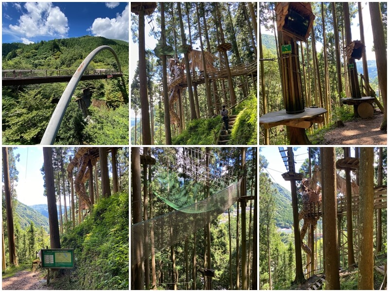 Forest Adventure IYA VALLEY- Path Toward the Creek-Crossing Zipline