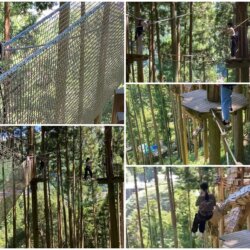 祖谷森林空中滑索沿著鋼索走到滑行處