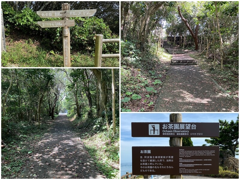 往御茶園觀景台到道路有很多樹可以遮陰