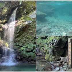 名勝琵琶瀑布與下方水潭裡面的小魚