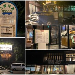 新祖谷温泉ホテルかずら橋の外観と懐かしいバス
