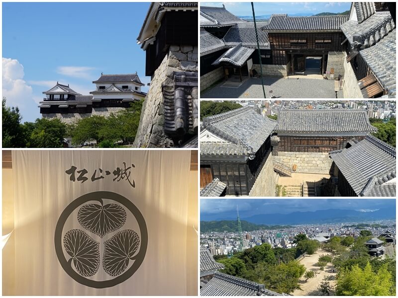 From Matsuyama Castle, you can view important cultural heritage sites below