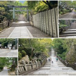 金刀比羅宮桜馬場繼續爬坡