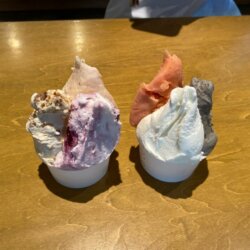 小豆島義式冰淇淋專賣店Minori Gelato的水果冰淇淋
