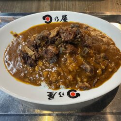 日乃屋カレー宇多津店の牛スジ煮込みカレー
