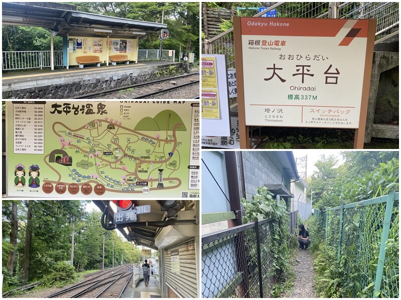 搭乘箱根登山電車停靠大平台車站，走秘境去看繡球花