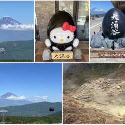 View Mount Fuji from Owakudani