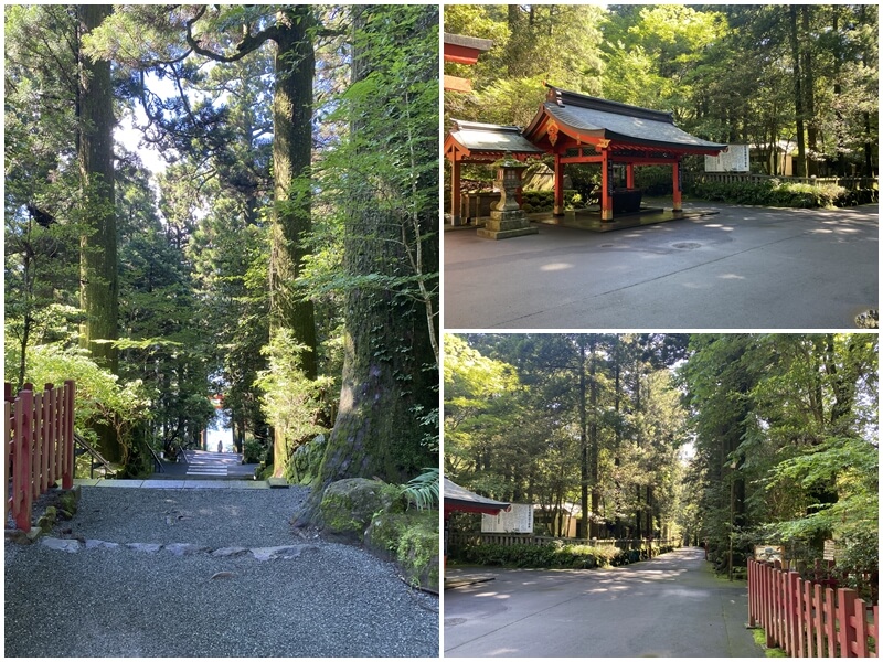 箱根神社の駐車場に車を停めた後、階段を下りて湖畔の平和の鳥居へ向かいました