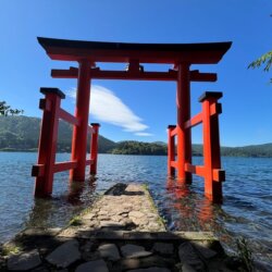 箱根神社下方湖邊平和的鳥居