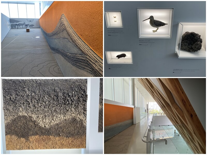 The Mt. Fuji World Heritage Centre features exhibits on the flora and fauna of Mount Fuji, as well as the stratified soil formations shaped by volcanic activity