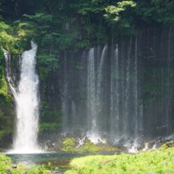 At the World Heritage Site Shiraito Falls, you can only view it from a distance