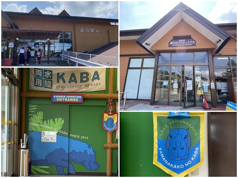 到達KABA河馬巴士集合地點山中湖旭日丘