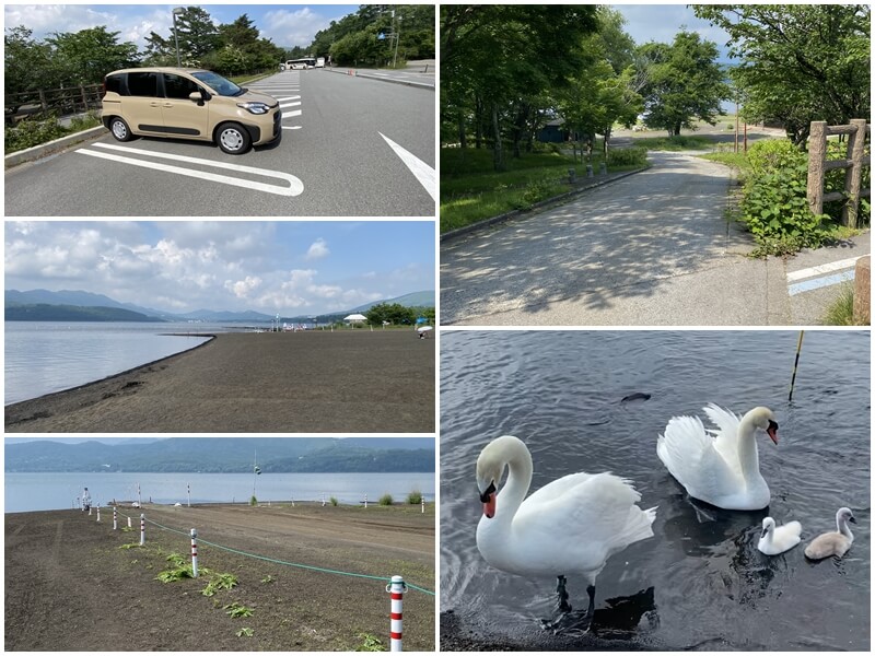 KABA河馬巴士的路線與山中湖的天鵝