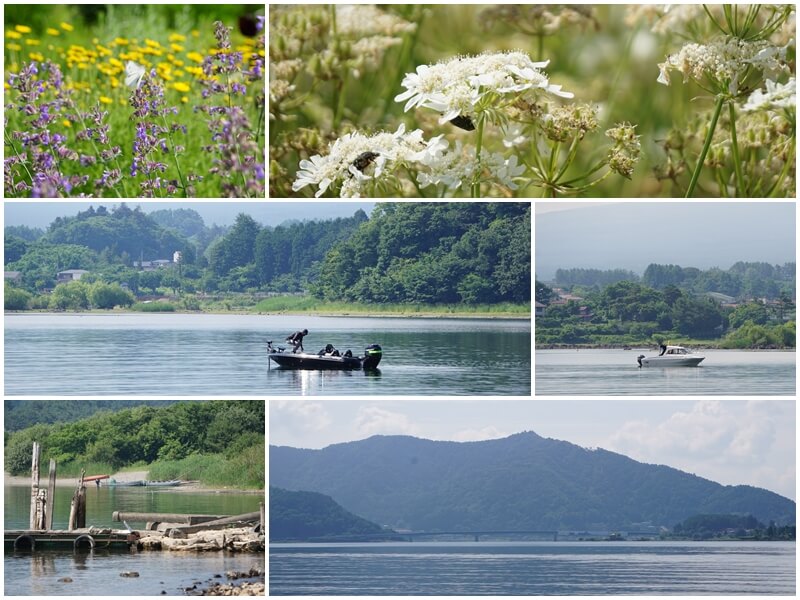 河口湖大石公園旁邊的遊艇