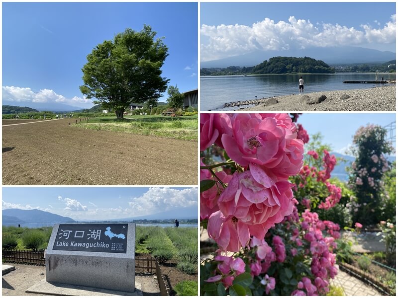 河口湖大石公園的河口湖標示