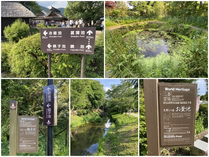 走往忍野八海的銚子池與釜池(お釜池)