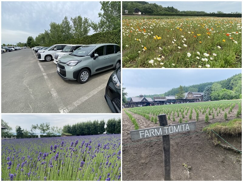 車停放在免費的富田農場停車場