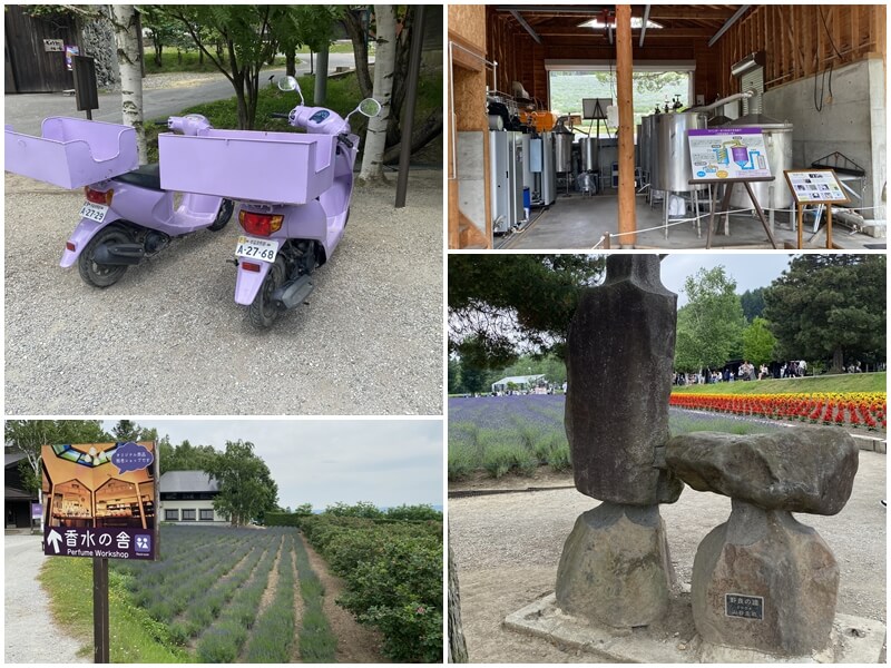 富田農場的紫色機車與香水之舍