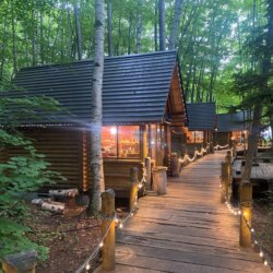 夏天空氣清新的森林精靈露台