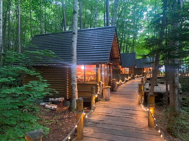 夏天空氣清新的森林精靈露台