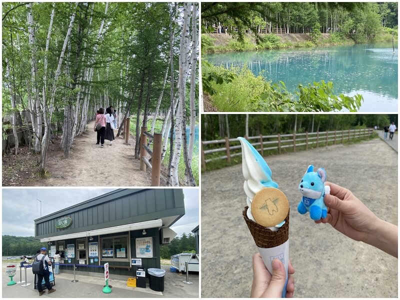 吃美瑛限定青池牛奶冰淇淋