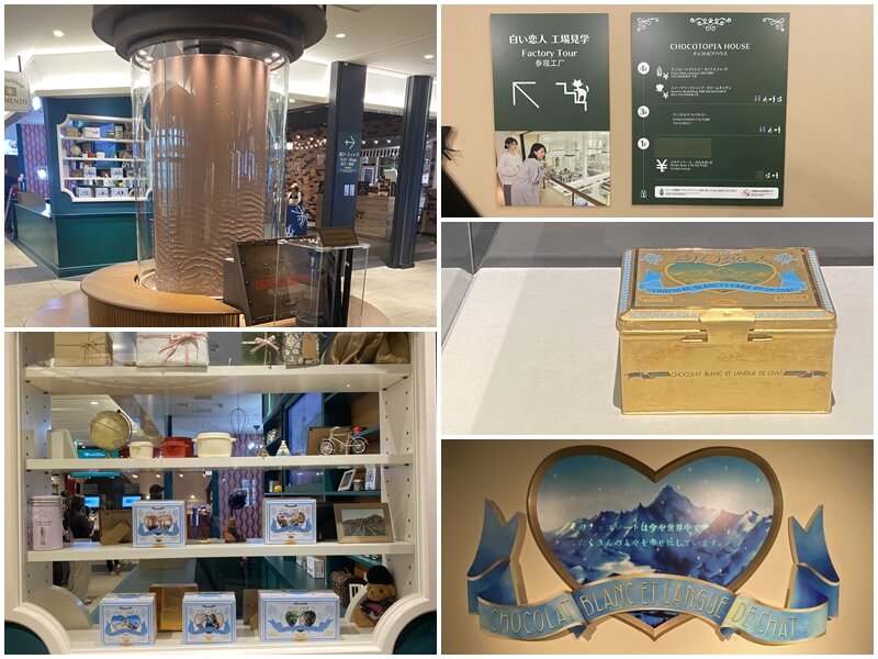 白色戀人公園巧克力幻想館工廠有展示很多精美餅乾盒