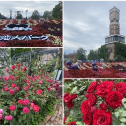 白色戀人公園已經開園30周年