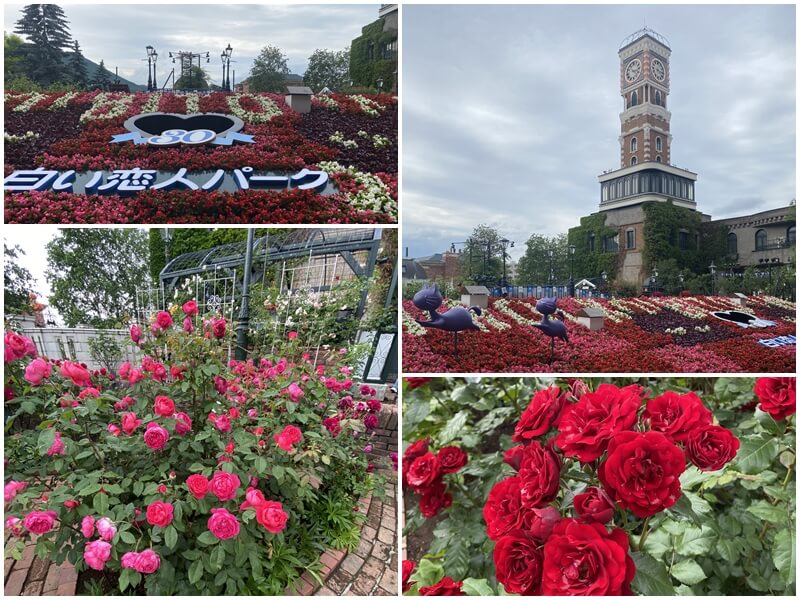 白色戀人公園已經開園30周年