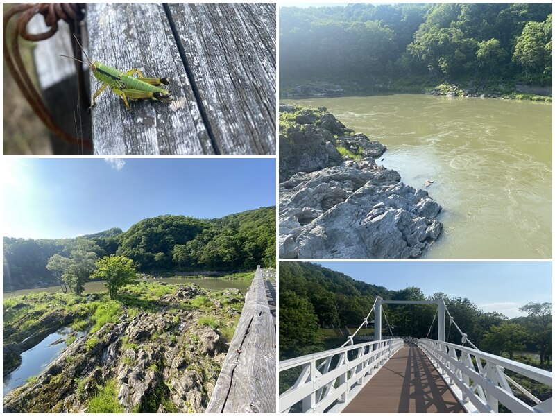 神居大橋を歩きながら、眼下に広がる奇岩怪石を眺める