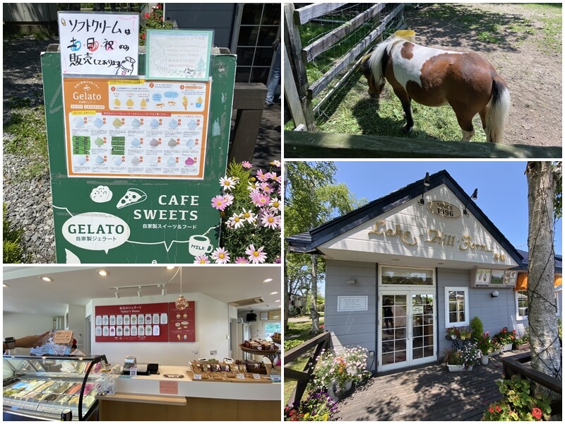 在Lake Hill Farm牧場有販賣冰淇淋