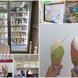 在Lake Hill Farm牧場吃冰淇淋