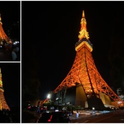 Seeing Tokyo Tower Up Close