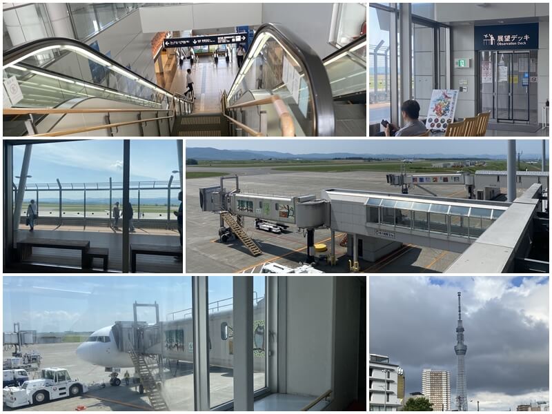 旭川空港搭乘日航回東京