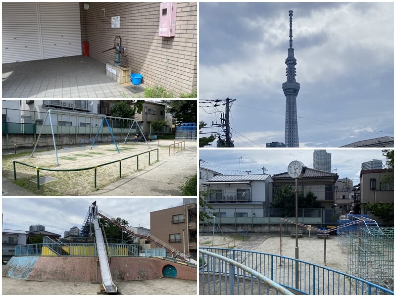 京島南公園看晴空塔