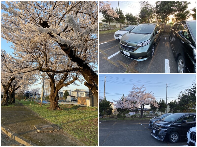 在水澤公園停車場停車