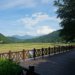 南安遊客中心對面田園風光2